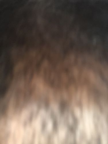 Customer photo review of PureFix Hair Elixir