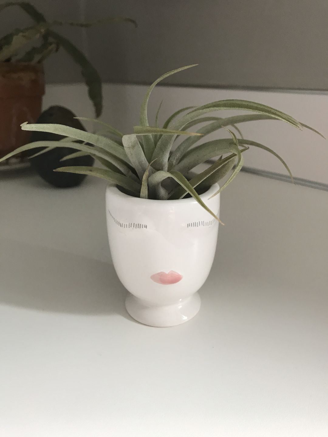 Customer photo review of Capitata  Peach  (Easy Care)
