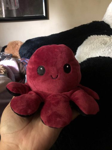 Customer photo review of Octopus Mood Plushy