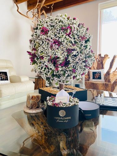 Customer photo review of Árbol de la Vida RN - Dura 6 meses