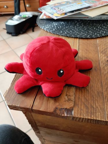 Customer photo review of Peluche octopus réversible