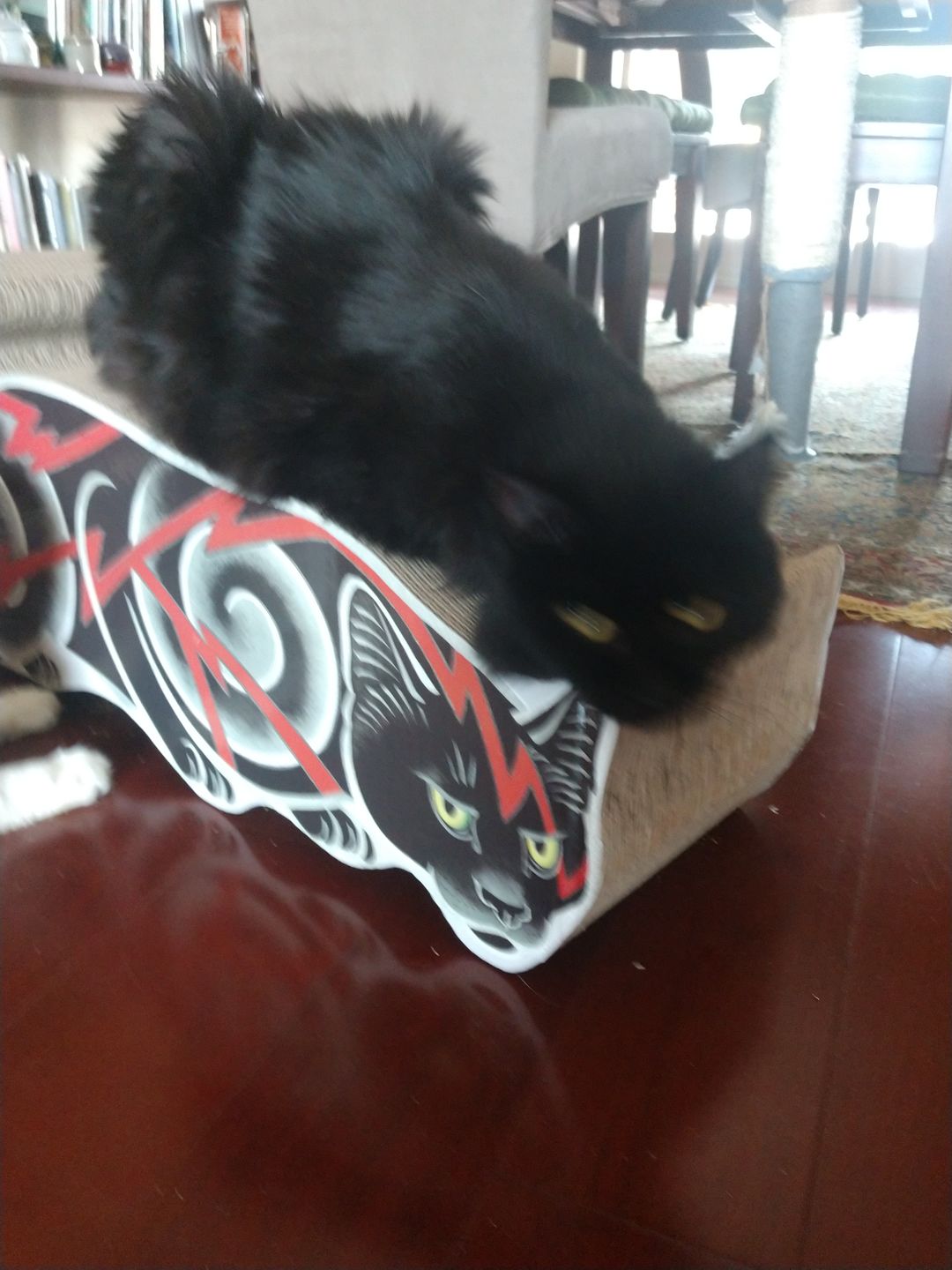 Customer photo review of Electric Cat Scratcher