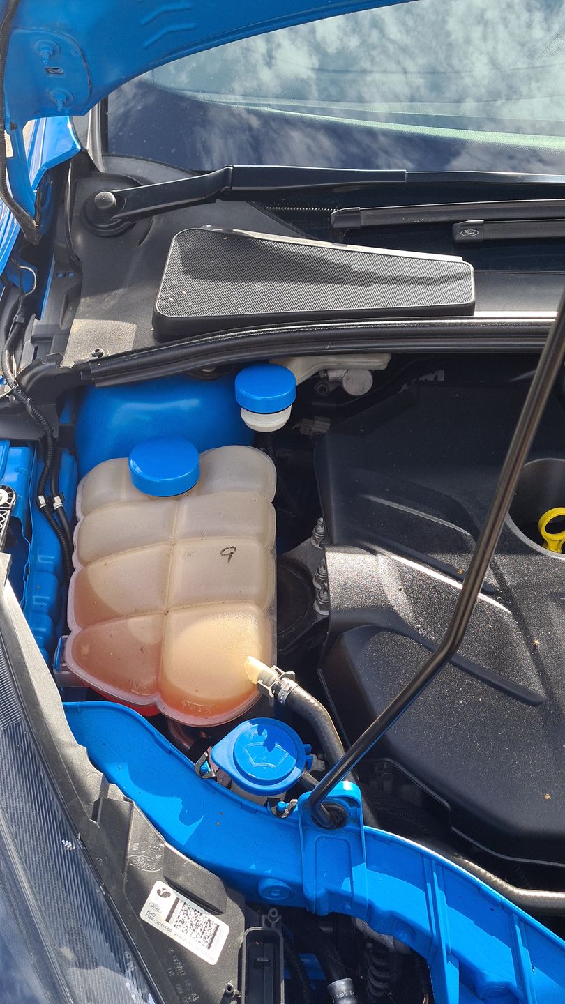 Customer photo review of Engine Cap Cover Kit (Painted/ Hydrodipped) - Mk2/3/4 Focus / Mk 6/7/8 Fiesta inc ST180