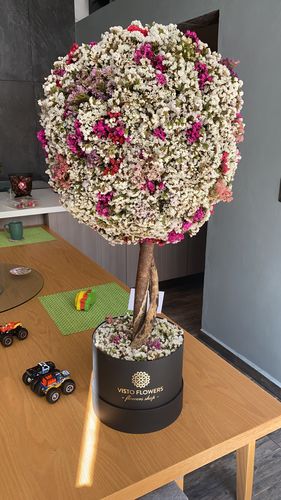 Customer photo review of Árbol de la Vida RN - Dura 6 meses