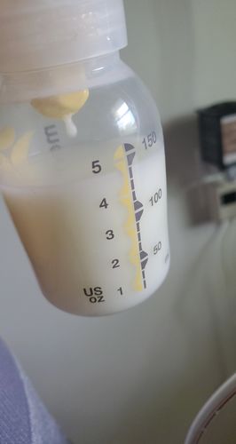 Duchess milky mama dairy