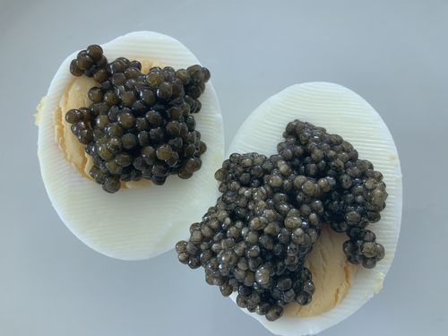 Customer photo review of “Imperial Dream” Supreme White Sturgeon Caviar