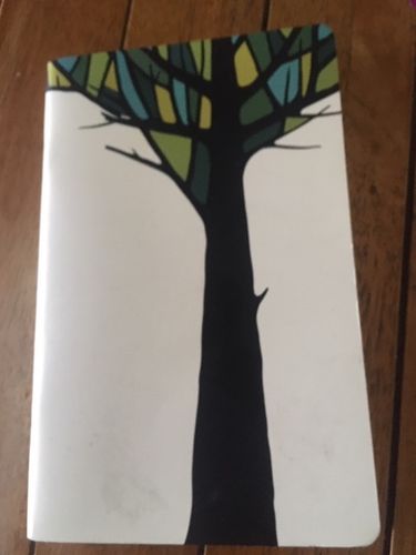 Customer photo review of Libreta Color / Escuela de primavera de Curicó