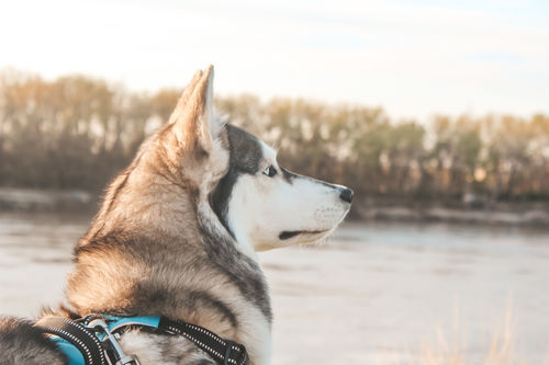 Customer photo review of LIGHT & AIRY LIGHTROOM PRESETS