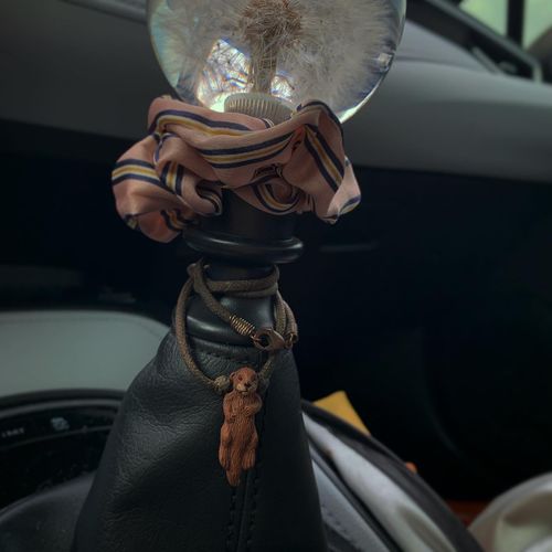 Customer photo review of Dandelion Crystal Bubble Shift Gear Knob