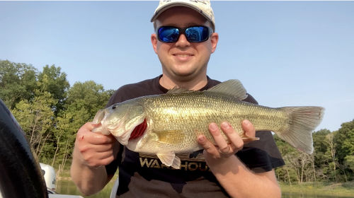 Customer photo review of Headbanger RockerHead 3-pack