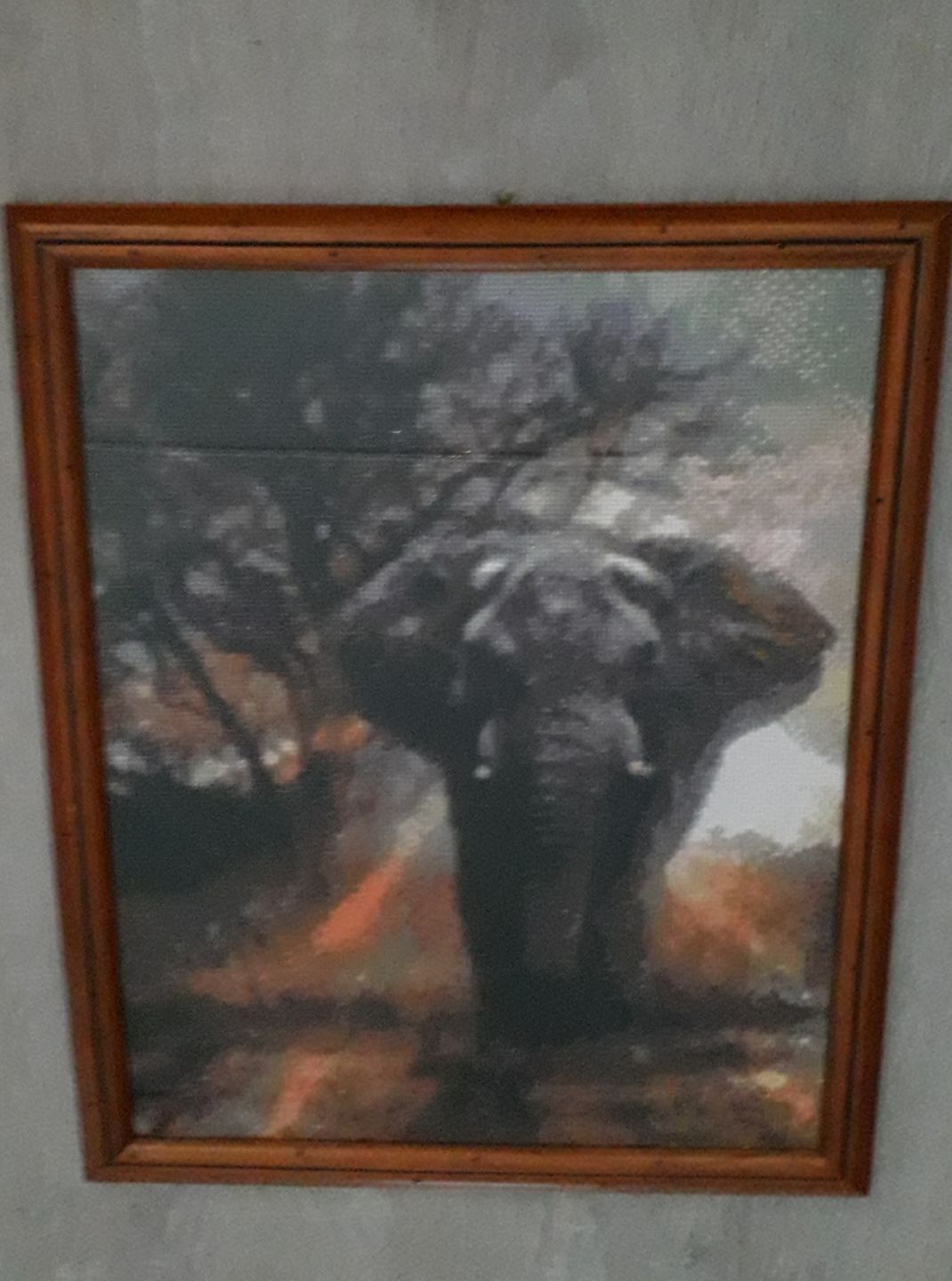 Customer photo review of Olifant
