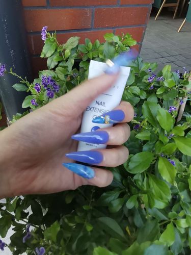 Customer photo review of House of Florists 12 Color Poly Nail Extension Gel Kit