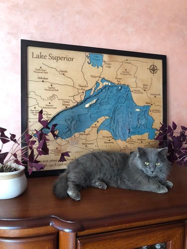 Customer photo review of CUSTOM 3D WOODEN LAKE MAP