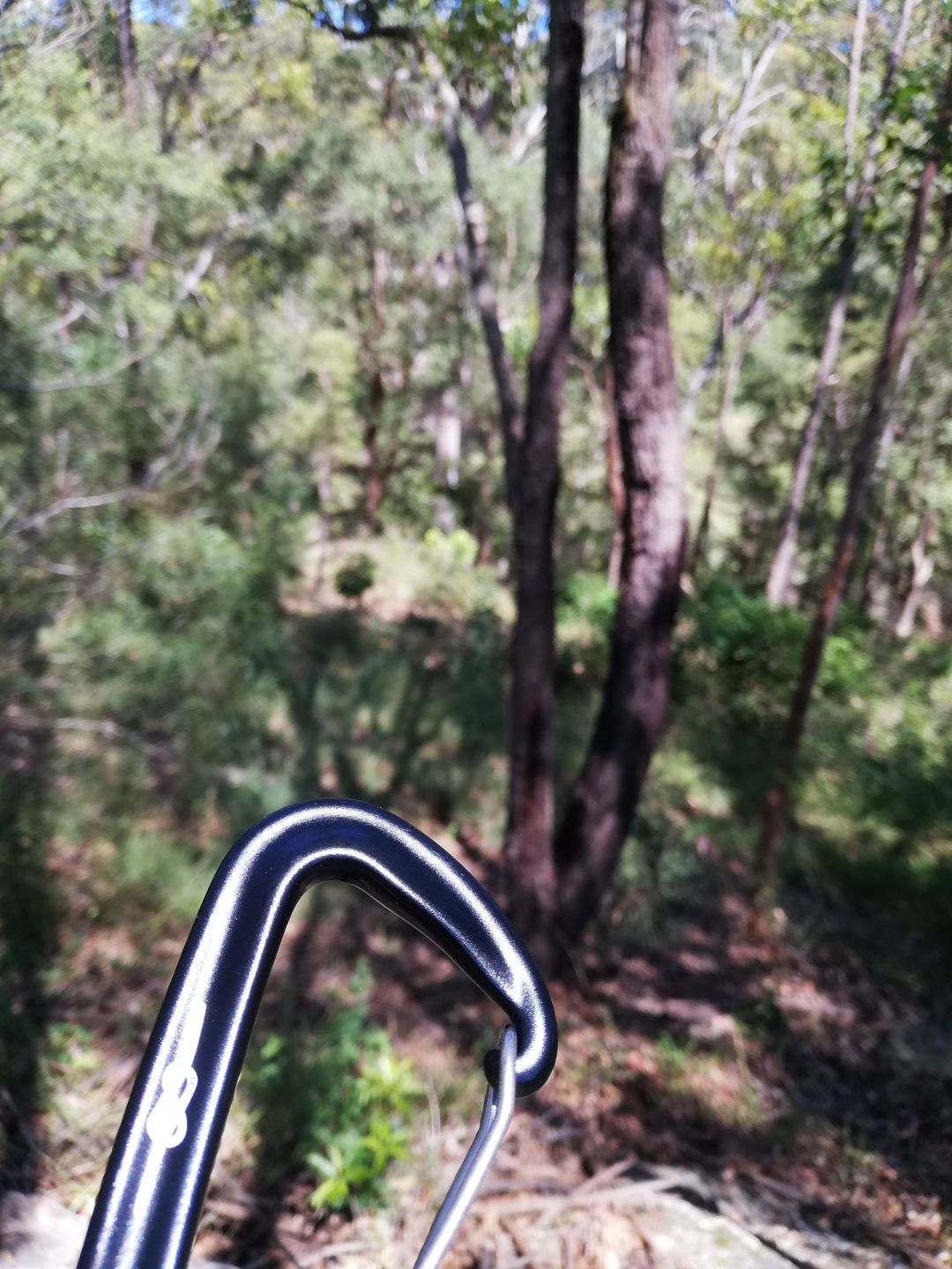 Customer photo review of Ultralight Aluminium Carabiner (12kn)