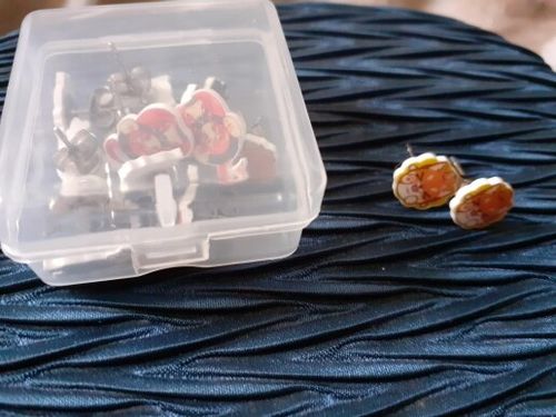 Customer photo review of Shiba Inu Earrings