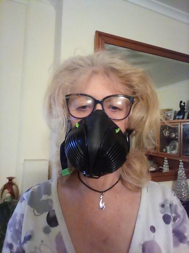 Customer photo review of Stealth P3 Replacement Filter (Pair)