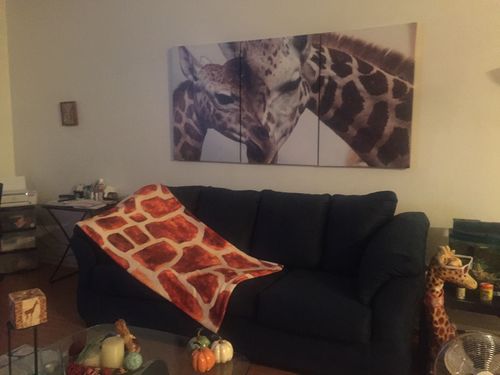 Customer photo review of Brown Watercolor Giraffe Pattern Print Blanket