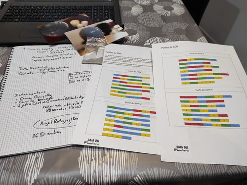 Customer photo review of Archivo Cenizas (Analógico)