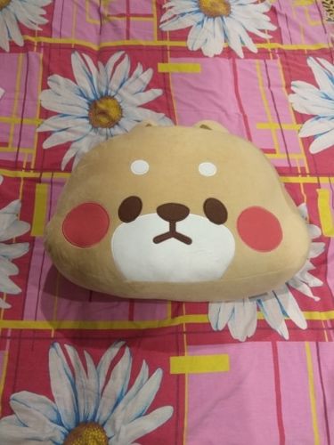 Customer photo review of Angry Shiba Inu Cushion