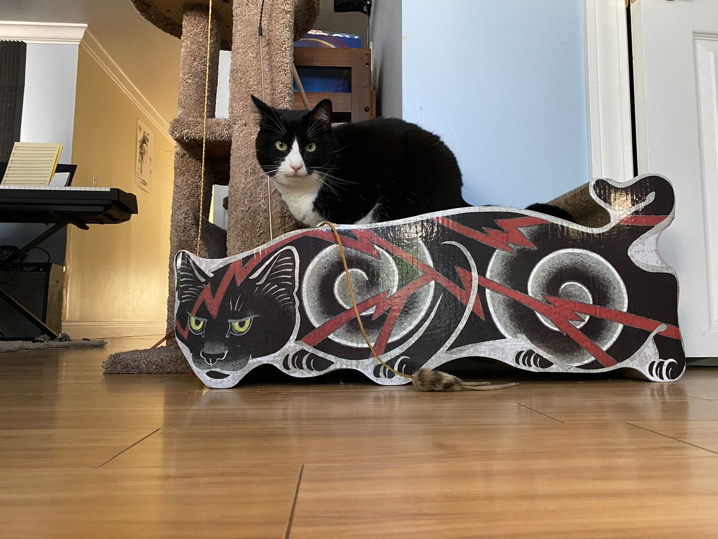 Customer photo review of Electric Cat Scratcher
