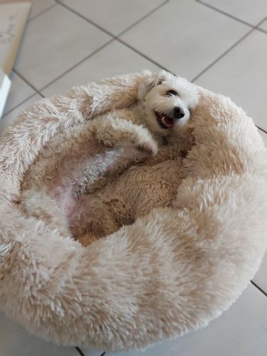 Customer photo review of Puppery Kuschelbett - Das Original