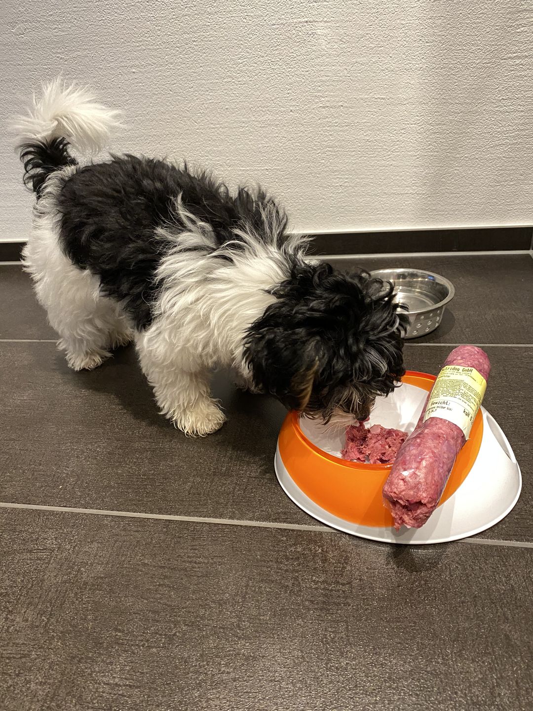 Customer photo review of NutriDog Starter-Box - 3 Sorten in 200g Portionen