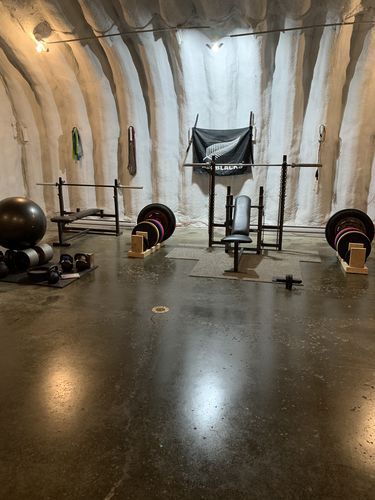 Customer photo review of Great Lakes Girya Poly Urethane Bumper Plates (PAIRS)