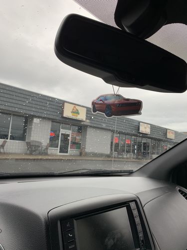 Customer photo review of Custom Air Freshener