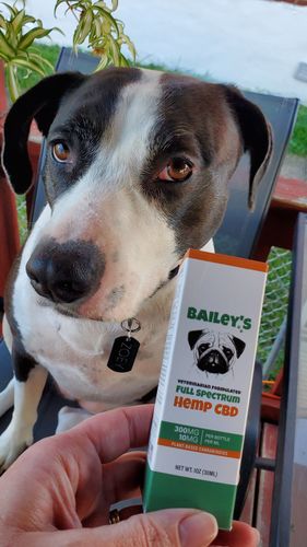 Customer photo review of Bailey's Full Spectrum Hemp Oil For Dogs w/ 300MG Naturally Occurring CBD