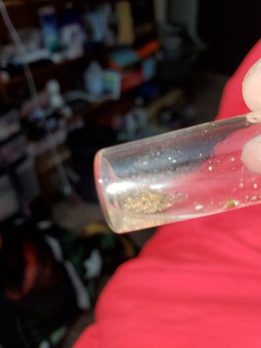 Customer photo review of *BOGO* Gold Diggers Delight '5 OUNCE GOLD CHASE' - Gold Paydirt Panning Concentrates