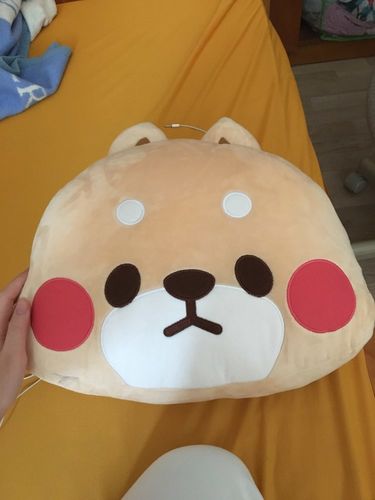 Customer photo review of Angry Shiba Inu Cushion