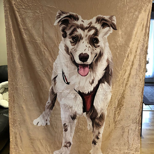 Customer photo review of Custom Pet Blanket