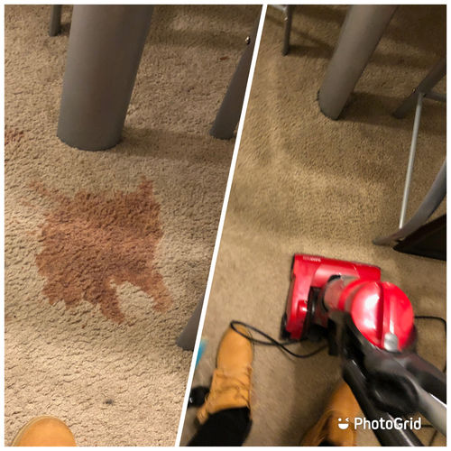 Customer photo review of SNEAKER CARE KIT