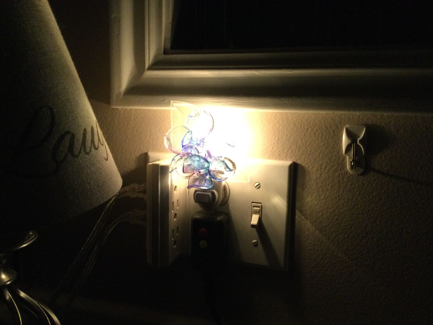 Customer photo review of Memorial Nightlight Flower with Cremation Ash