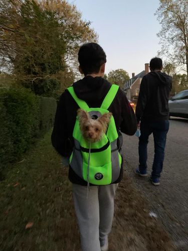 Customer photo review of Petyfy™ Dog Backpack + Lifetime Warranty!