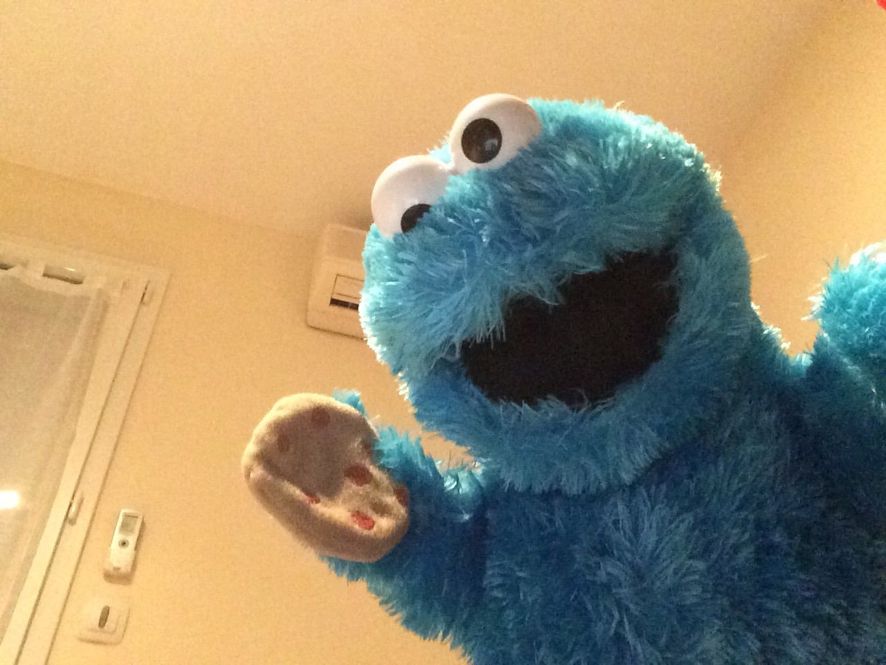 Customer photo review of Cookie Monster Marionnette Sesame Street