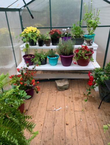 Customer photo review of Erommy 4'x 6'x 6.6' Garden Greenhouses Walk-in Planthouse UV Protection with Roof Vent & Rain Gutter