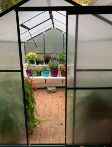 Customer photo review of Erommy 6'x 6'x 6.6' Walk-in Greenhouse Plant House UV Protection with Roof Vent & Rain Gutters