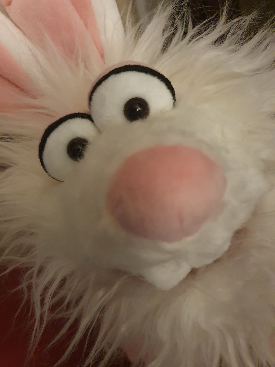 Customer photo review of Lapin Blanc Marionnette