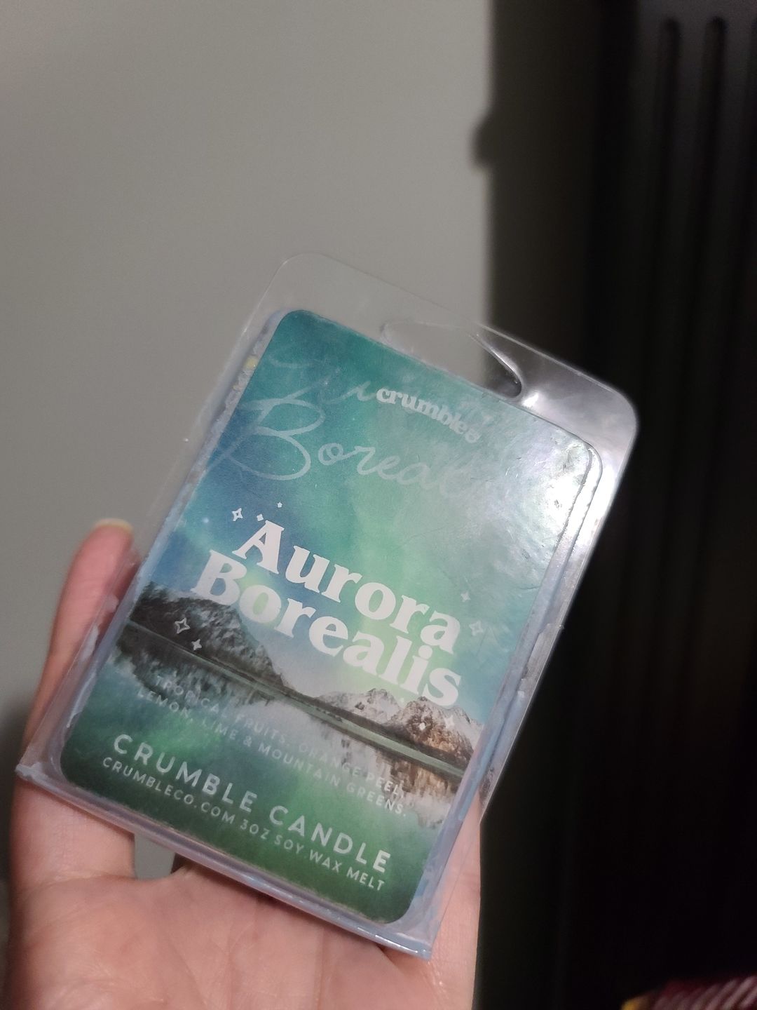 Customer photo review of Aurora Borealis Wax Melts