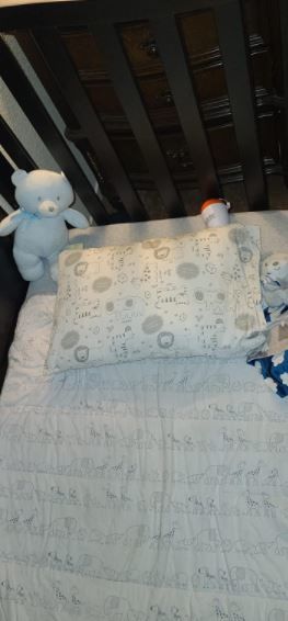 Customer photo review of Hypoallergenic Toddler Pillow with 100% Cotton Pillowcase