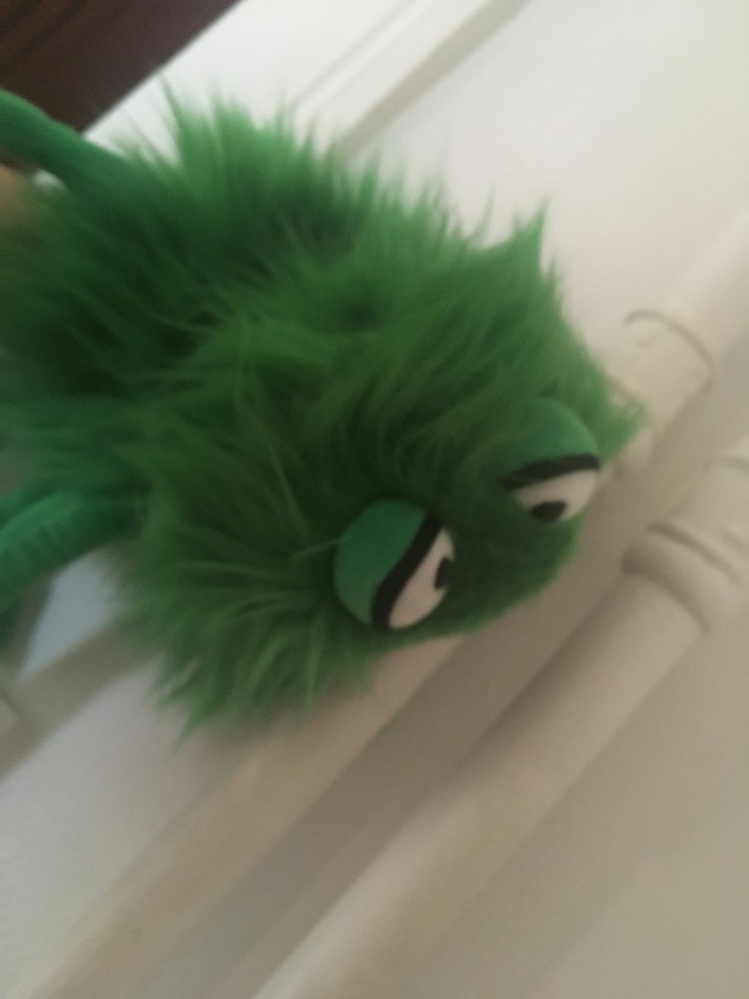 Customer photo review of Monstre Vert Marionnette