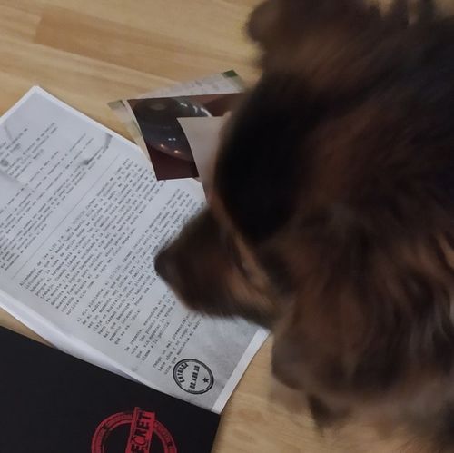 Customer photo review of Dossier Cendres (analogique)