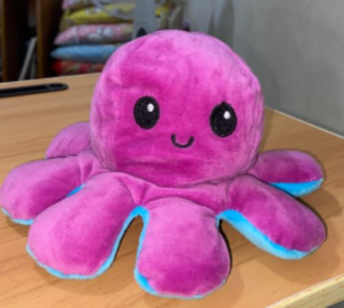 Customer photo review of Aster Reversible Stuffed Octopus