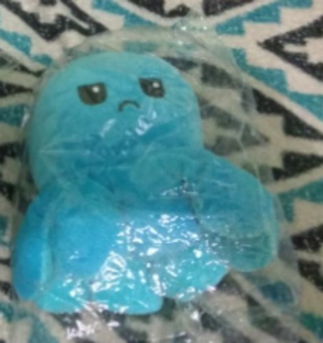 Customer photo review of Aster Reversible Stuffed Octopus