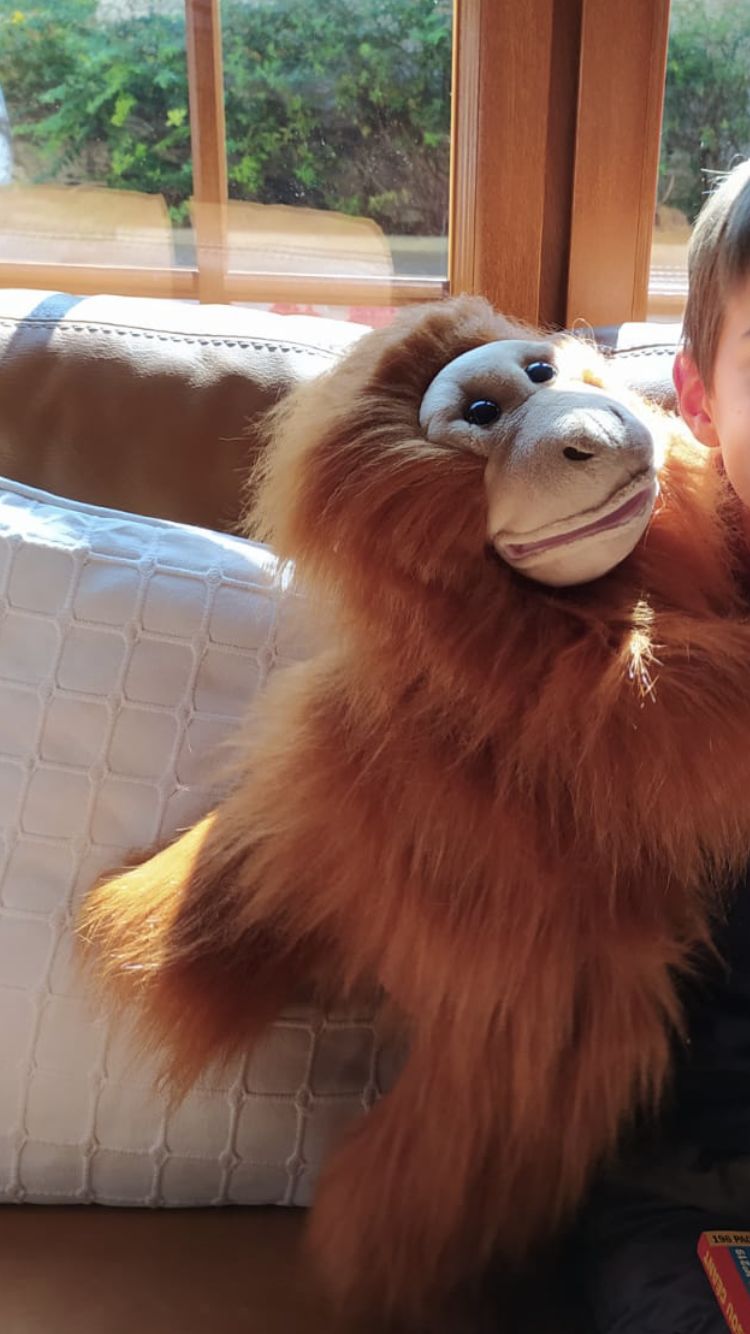 Customer photo review of Orang-Outan  Marionnette