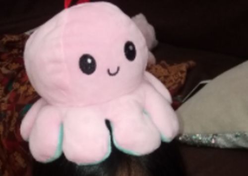 Customer photo review of Aster Reversible Stuffed Octopus