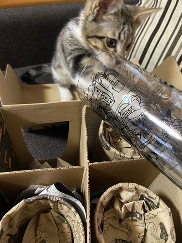 Customer photo review of Cat Lover Juego de 6 Vasos Gatunos 500ML