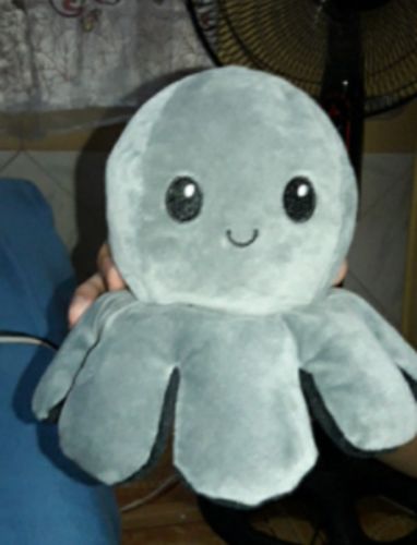 Customer photo review of Aster Reversible Stuffed Octopus