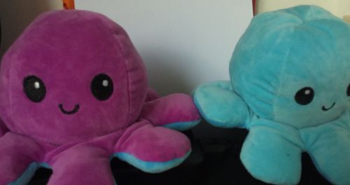 Customer photo review of Aster Reversible Stuffed Octopus